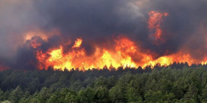 القصرين: اندلاع حريق في المنطقة العسكرية المغلقة بجبل الشعانبي